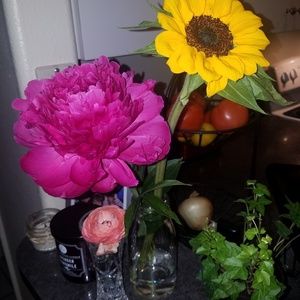 Meet your Posher, Hayley